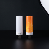 Lampe Effet Flamme LED USB