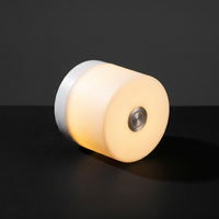 Lampe Décorative LED 7 Couleurs – photo 3