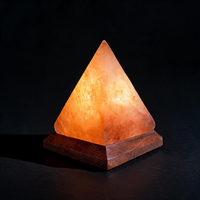 Lunaria Lampe Sel Himalayan 8 Couleurs USB - lampe sel himalaya - lumière chaleureuse - décoration intérieur LED