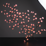 Branche Cerisier LED Murale Double | LUNARIA