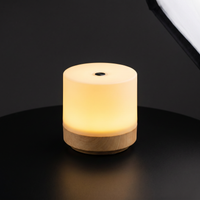 Lampe Décorative LED 7 Couleurs