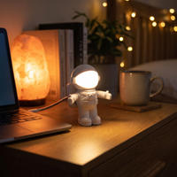 Lampe Décorative LED USB – photo 2
