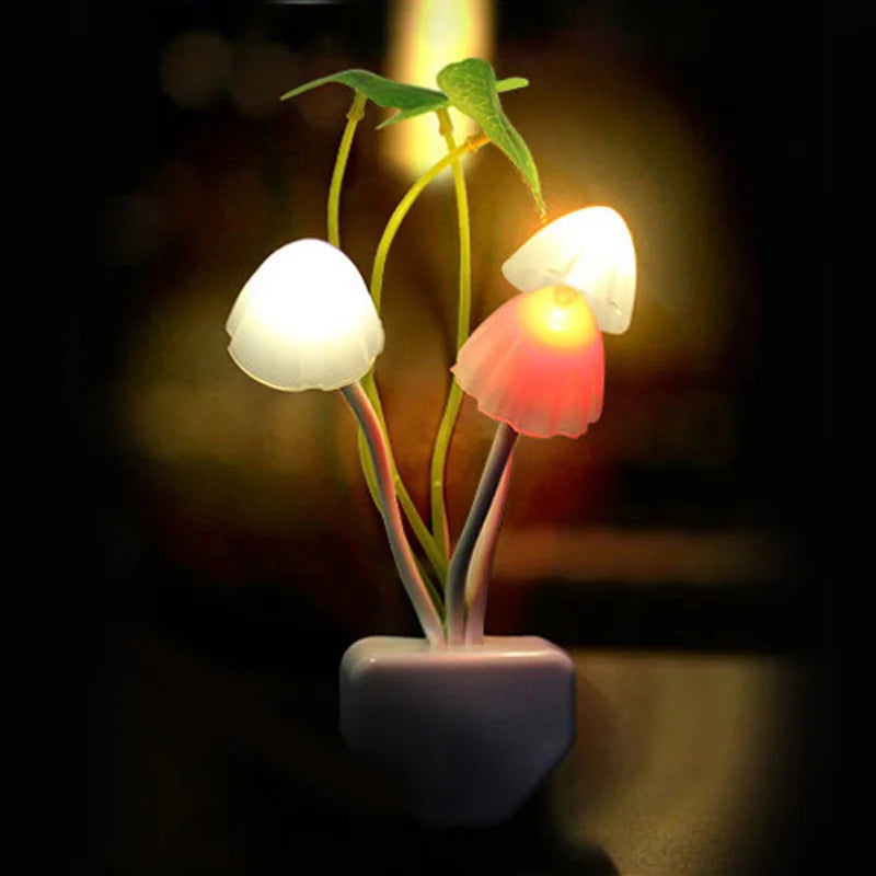 Veilleuse Champignon Novelty 3 LED – photo 9