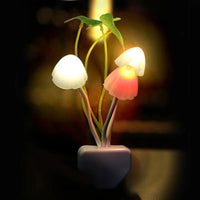 Veilleuse Champignon Novelty 3 LED – photo 9