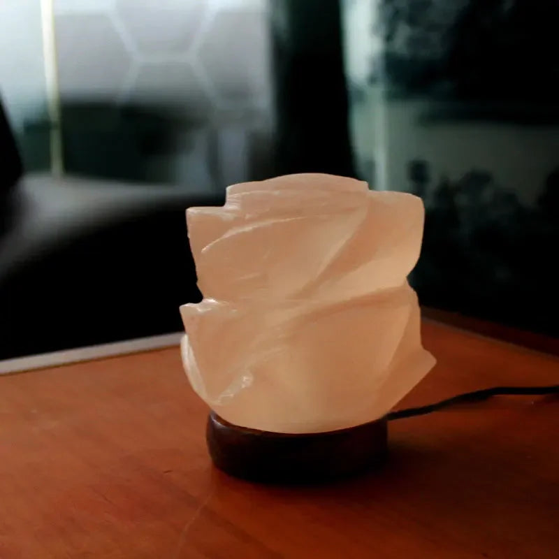 Lampe Sel Colorée 100% Naturelle Sculptée – photo 23