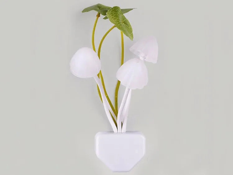 Veilleuse Champignon Novelty 3 LED – photo 12