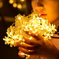 Guirlande Cerisier LED Cadeau – photo 10