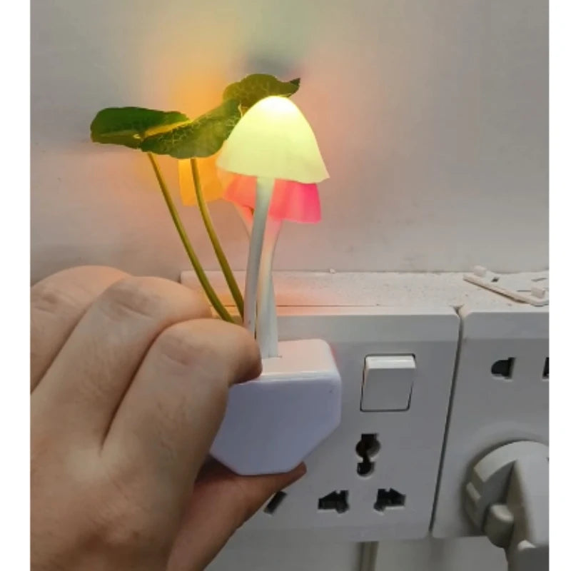 Veilleuse Champignon Novelty 3 LED – photo 6