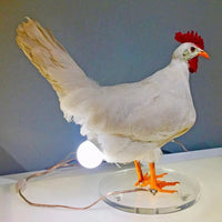 Lampe Poussin Pâques Décorative – photo 9