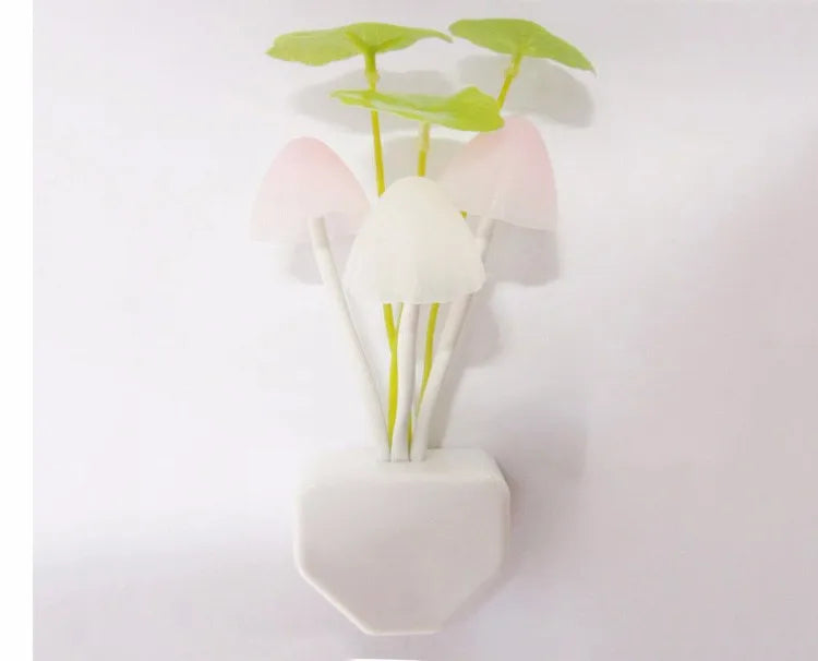 Veilleuse Champignon Novelty 3 LED – photo 11