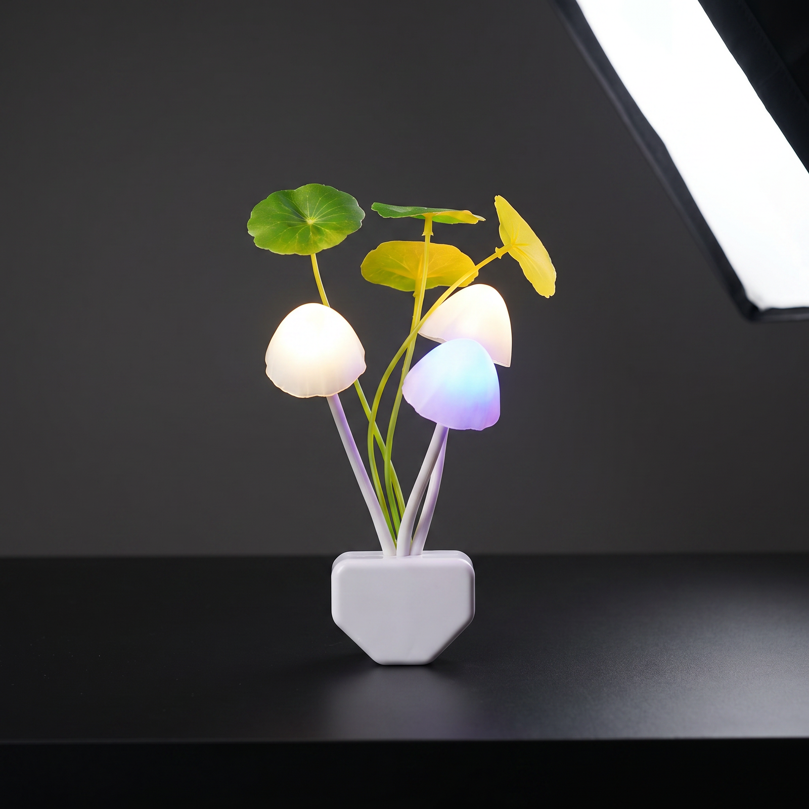 Veilleuse Champignon Novelty 3 LED | LUNARIA