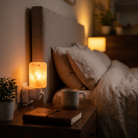 Lampe Sel Naturelle LED Sculptée Plug – photo 2