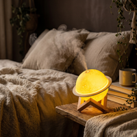 Lunaria Lampe Lune Humidificateur LED Bedside - lampe lune 3D en situation dans une chambre - ambiance lunaire