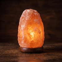 Lampe Sel Himalayan Blanc Chaud Naturelle – photo 4