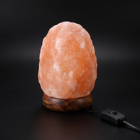 Lampe Sel Himalayan Blanc Chaud Naturelle – photo 6
