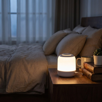 Lunaria Lampe Tactile Rechargeable Chevet LED USB - lampe LED decorative en situation dans une chambre - ambiance lumineuse cosy